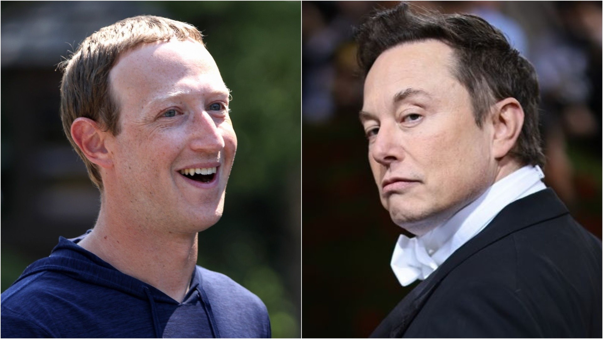 ¿La velada del año? Elon Musk retó a Mark Zuckerberg a pelear en una jaula