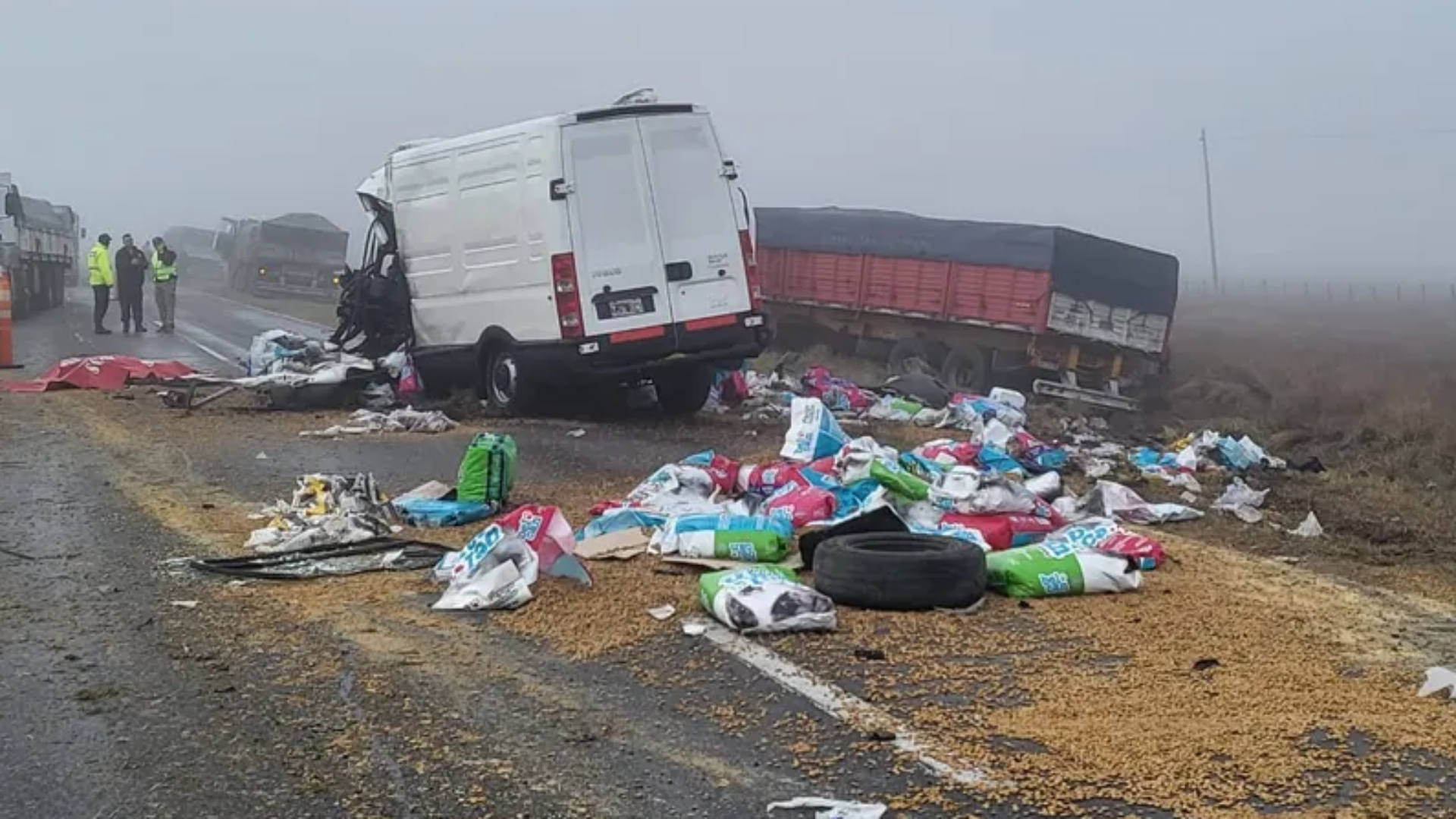 La víctima fatal transportaba alimento balanceado para mascotas.