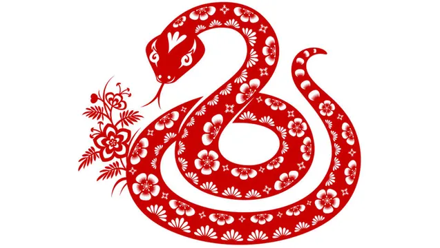 Según la astrología china, la Serpiente es el signo más rencoroso y vengativo.