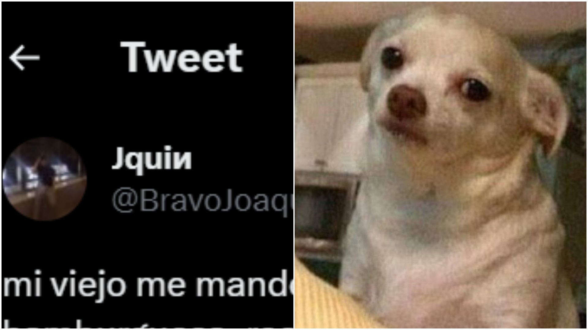 Un joven contó en Twitter el insólito gasto que hizo con la plata que su padre le había enviado para que pague las expensas del alquiler.