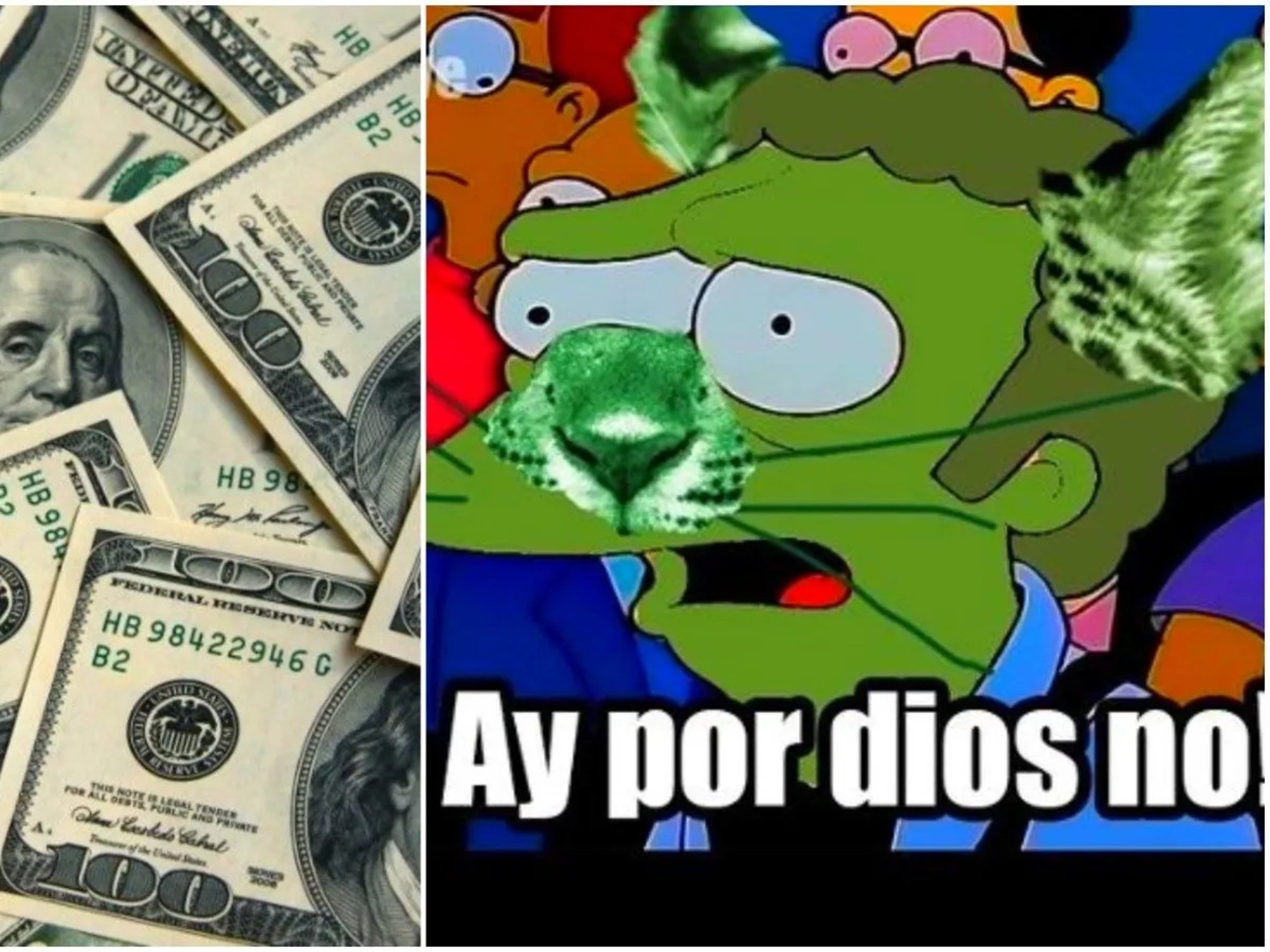 El yaguareté del billete de $500 volvió a ser protagonista en los memes tras la subida del dólar.