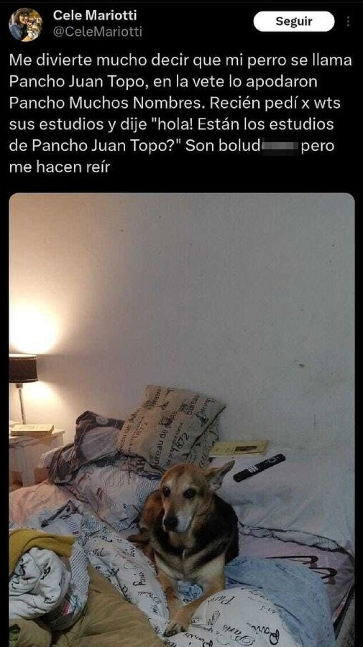 El tuit viral del perro con un nombre gracioso.