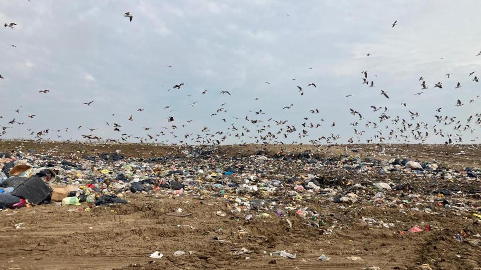 El basural a cielo abierto de la discordia.