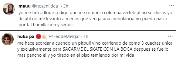 La reacción de los usuarios en Twitter al video viral del chico atropellado por perros.