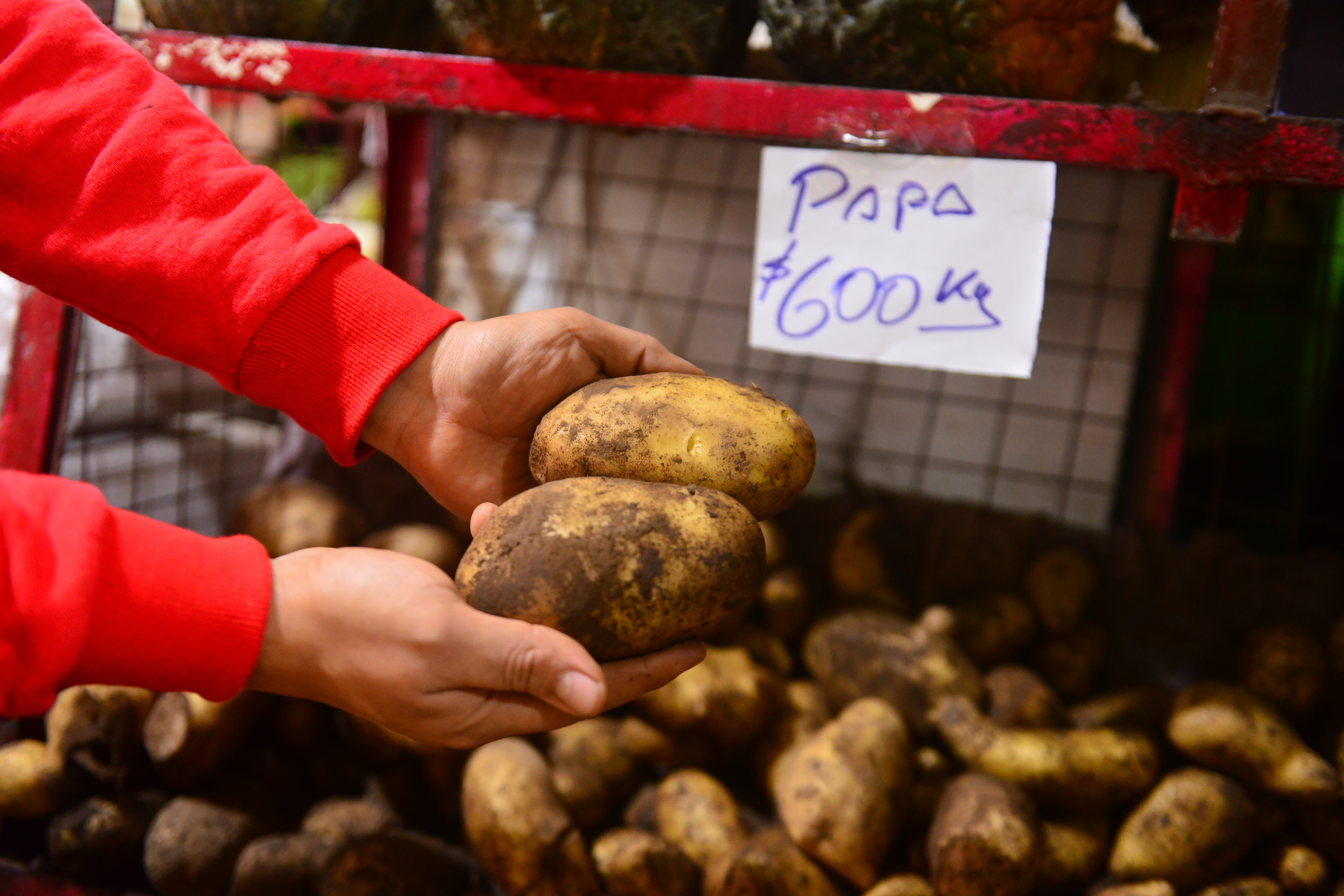 Subió el precio de la papa, cuesta hasta $600 el kilo y hay amenaza de escasez (Jonatan Moreno/Crónica).