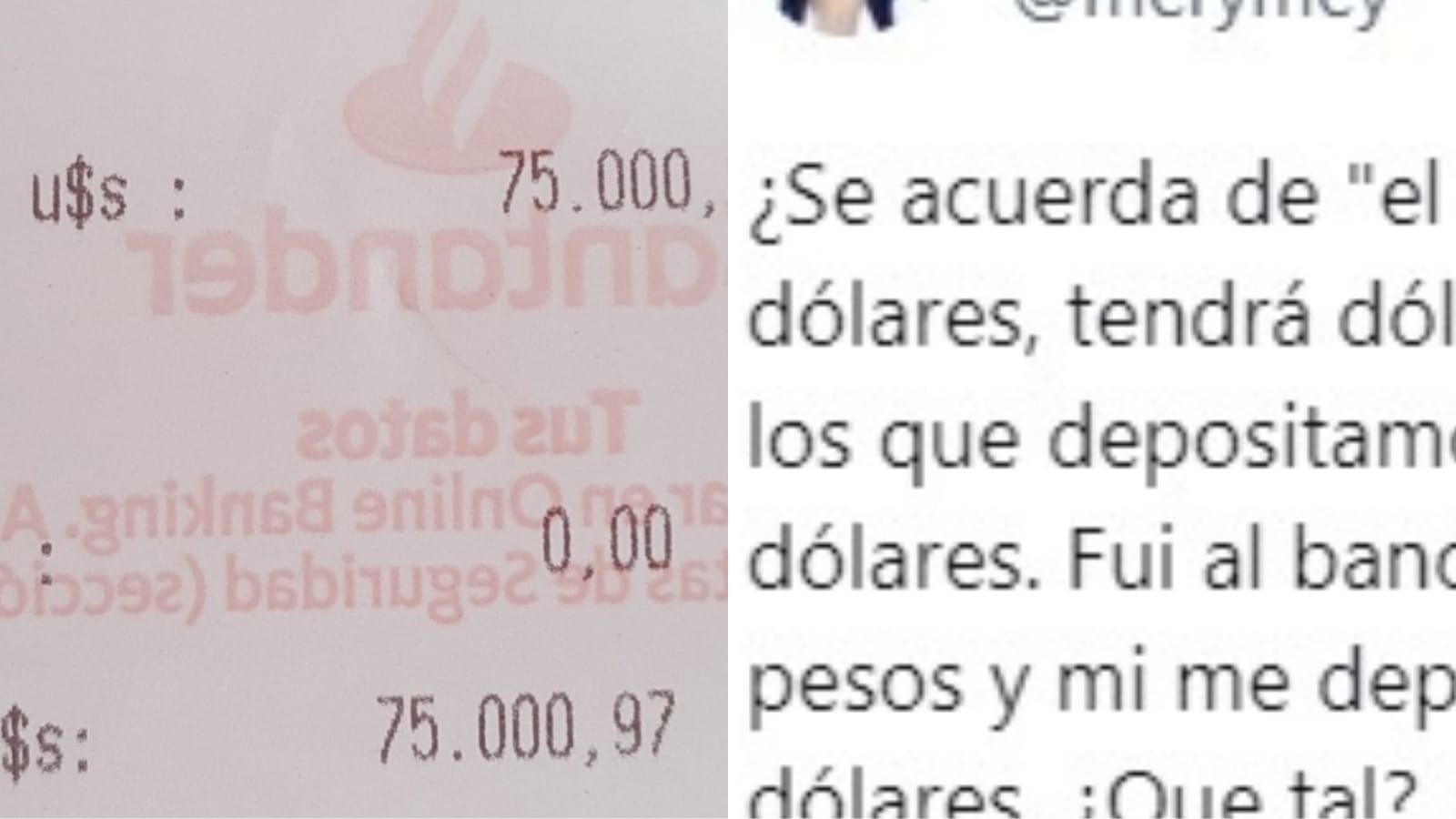 Tras mostrar el ticket que verifica el insólito error, la mujer contó en Twitter la decisión que tomó.