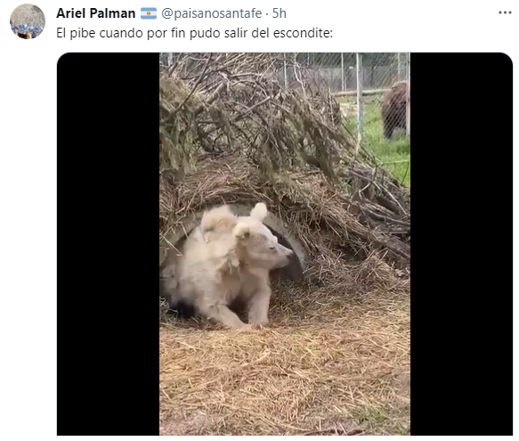 La reacción de los usuarios a la publicación de Twitter. 