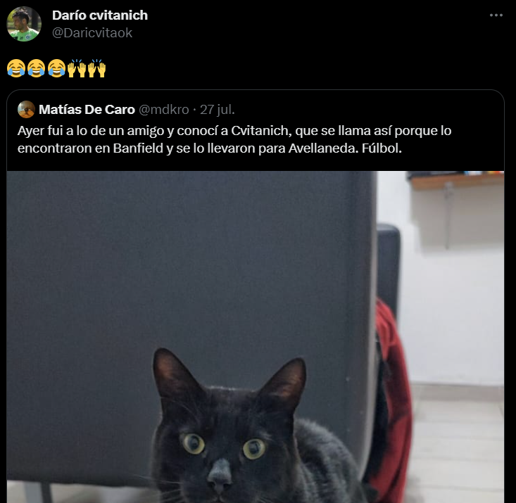 La reacción de Dario Cvitanich en Twitter.