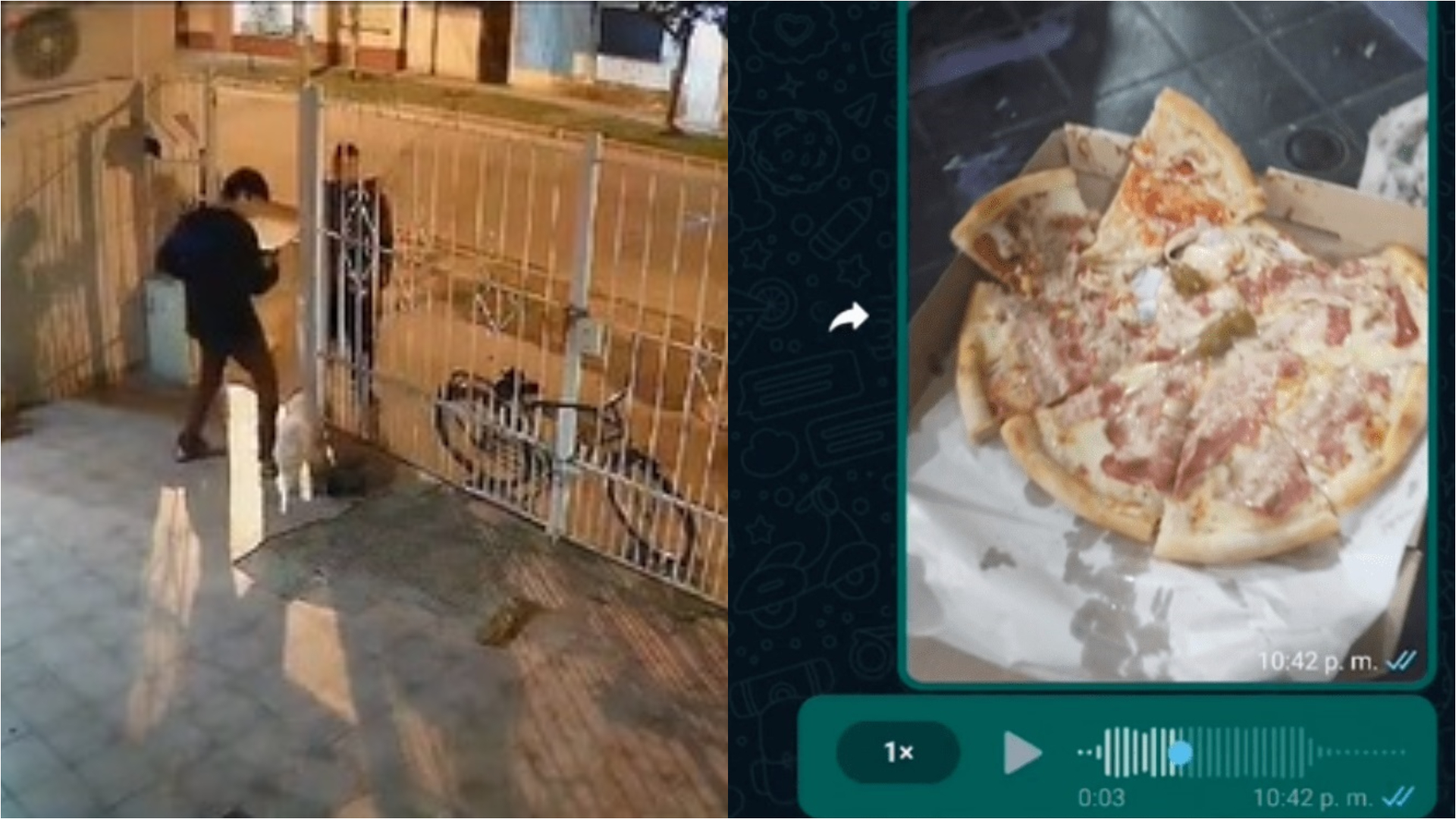 Se quejó de cómo le llegaron las pizzas y el dueño del local “se plantó” al decirle que fue su culpa: el video que dividió opiniones en TikTok