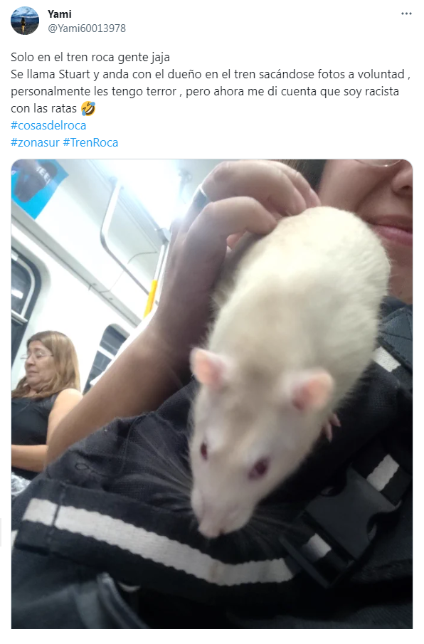 Una usuaria encontró a Stuart en el tren Roca y no dudó en sacarse una foto con él para luego compartirla en Twitter.