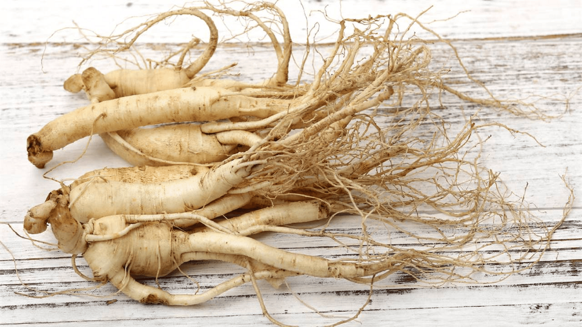 El ginseng coreano trae consigo múltiples beneficios.