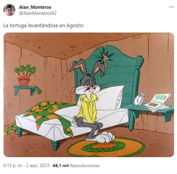 Comentarios, memes y experiencias similares con las tortugas (Twitter).