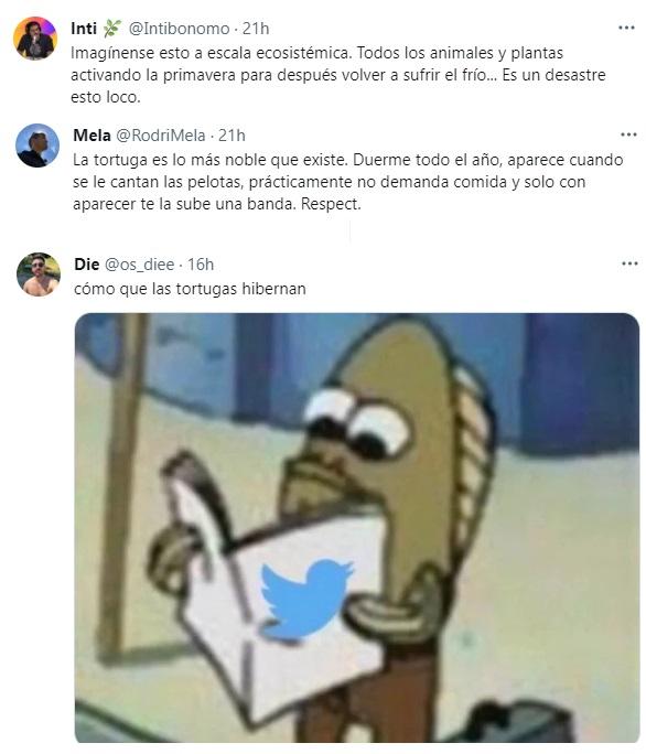 Comentarios, memes y experiencias similares con las tortugas (Twitter).