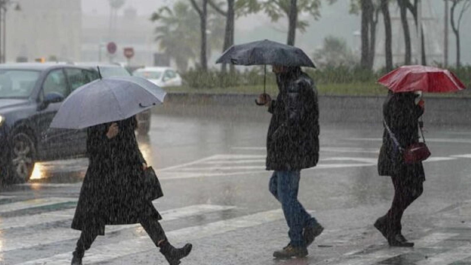 El SMN alertó a una provincia por fuertes tormentas y lluvias para este viernes.