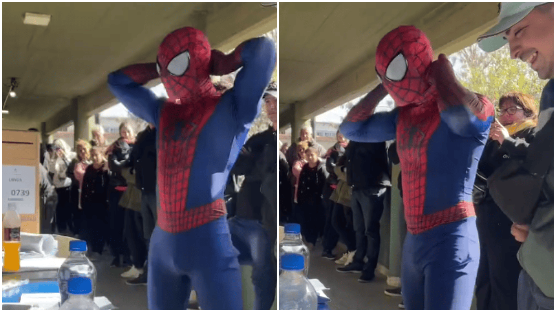 Un votante disfrazado de Spider Man sorprendió a todos en las Elecciones PASO 2023 (Twitter/@MaiiPuente).