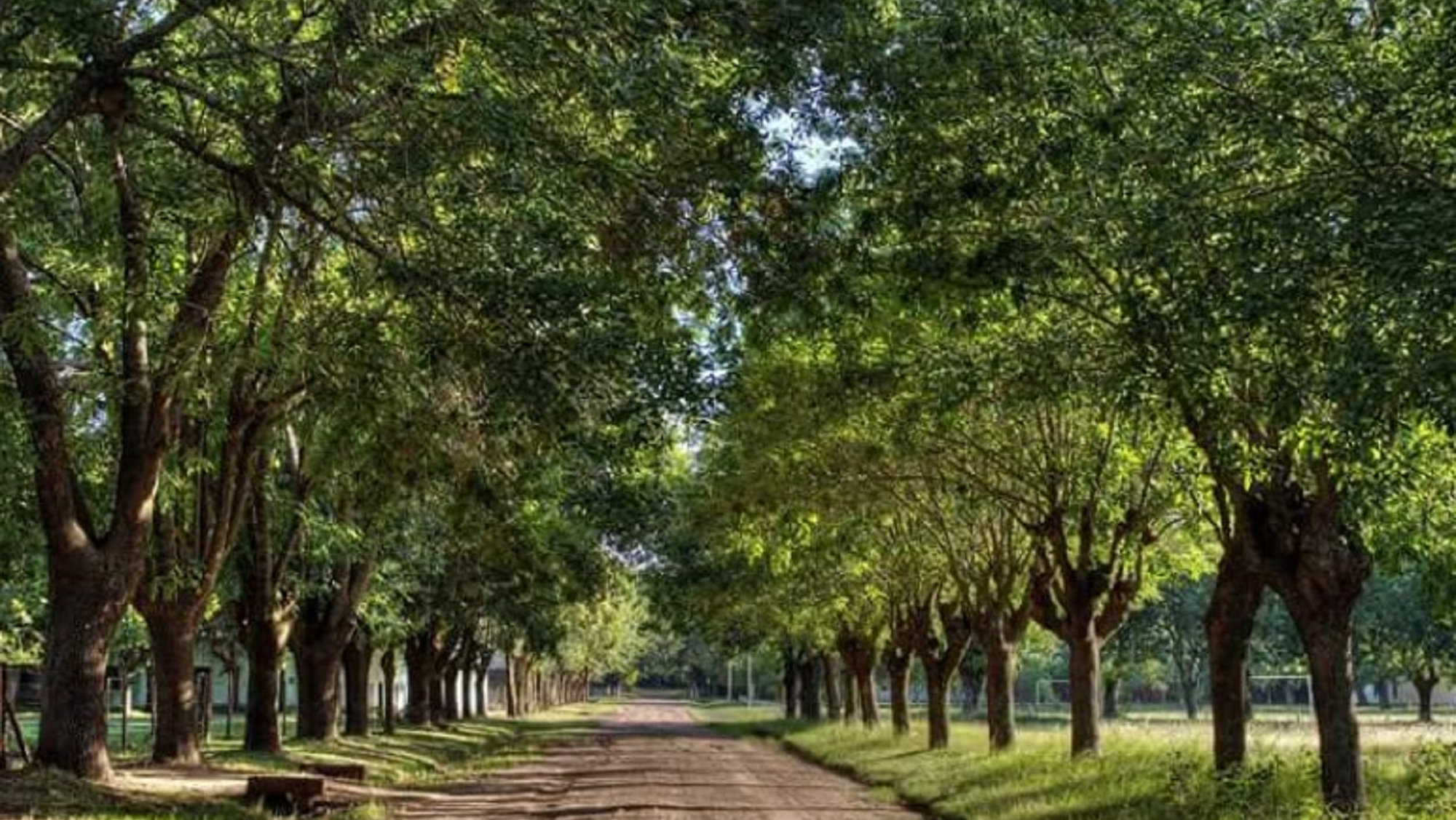 Berdier, el pueblo más pequeño de Buenos Aires que parece 