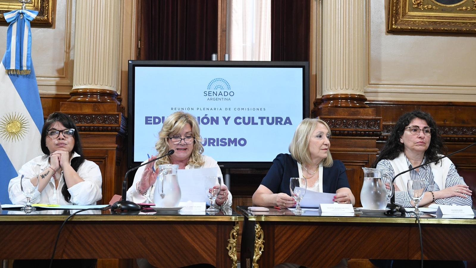 El proyecto de Ana María Ianni se debatirá en la Comisión de Turismo del Senado (Gentileza Senado).