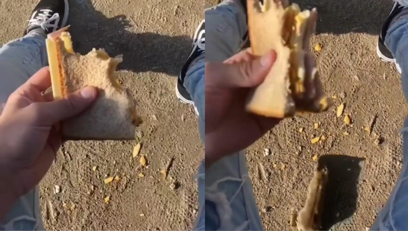 El argentino mostró cómo la rata aprovechó para comer las migas de su sándwich y el video de volvió viral (  <a href='https://www.cronica.com.ar/tags/TikTok'>TikTok</a>/@@elyetti.ok).