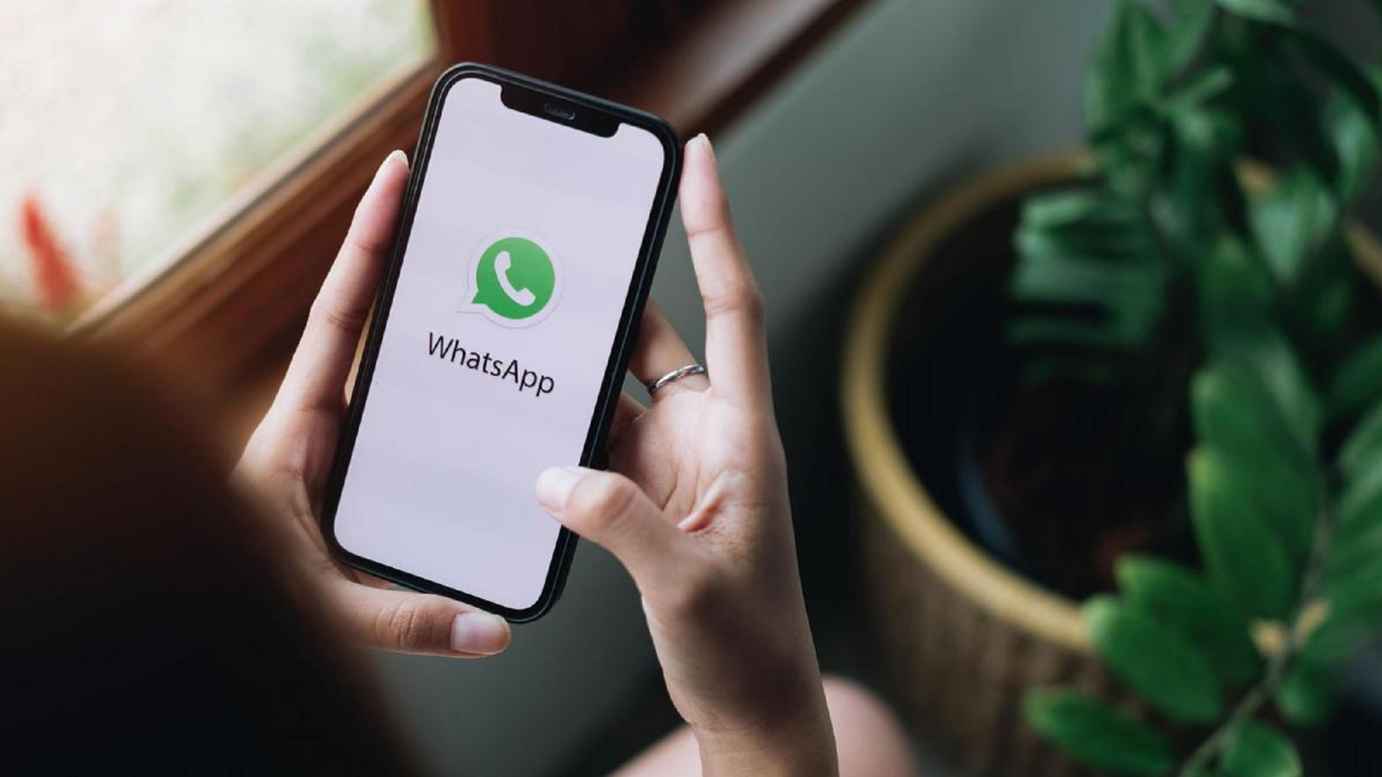 Conocé el listado de celulares que a partir de septiembre dejarán de ser compatibles con WhatsApp.