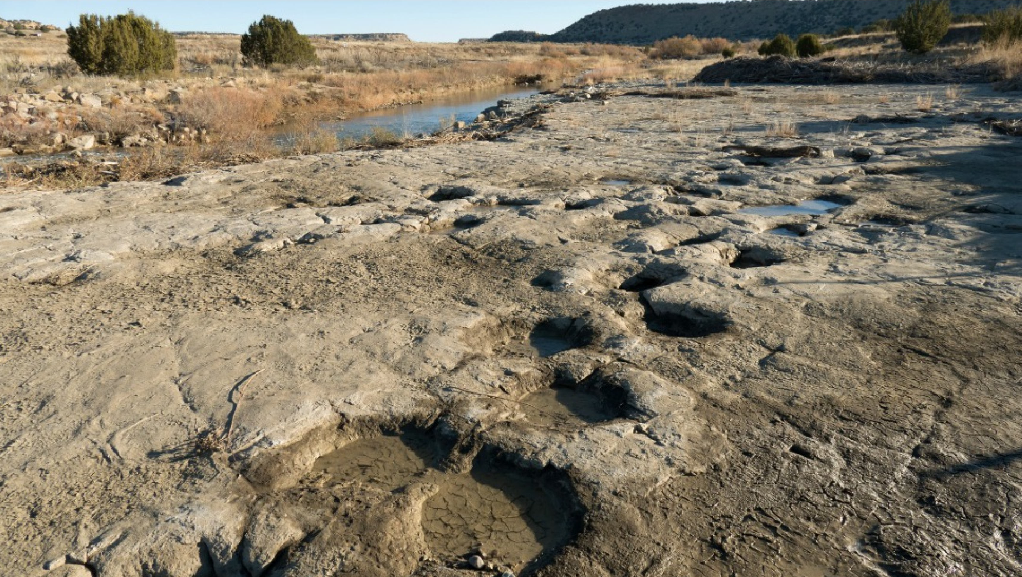 Impactante descubrimiento en Texas: Tras sufrir una profunda sequía quedó al descubierto las huellas de dinosaurio