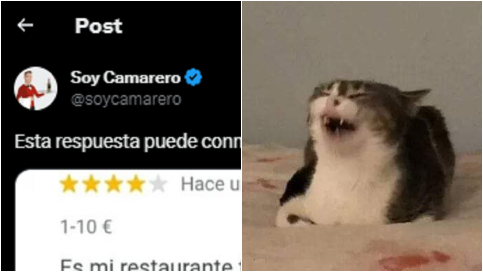 La divertida respuesta que le ofreció un restaurante chino a un cliente insatisfecho con la comida del lugar y que se volvió viral en Twitter.