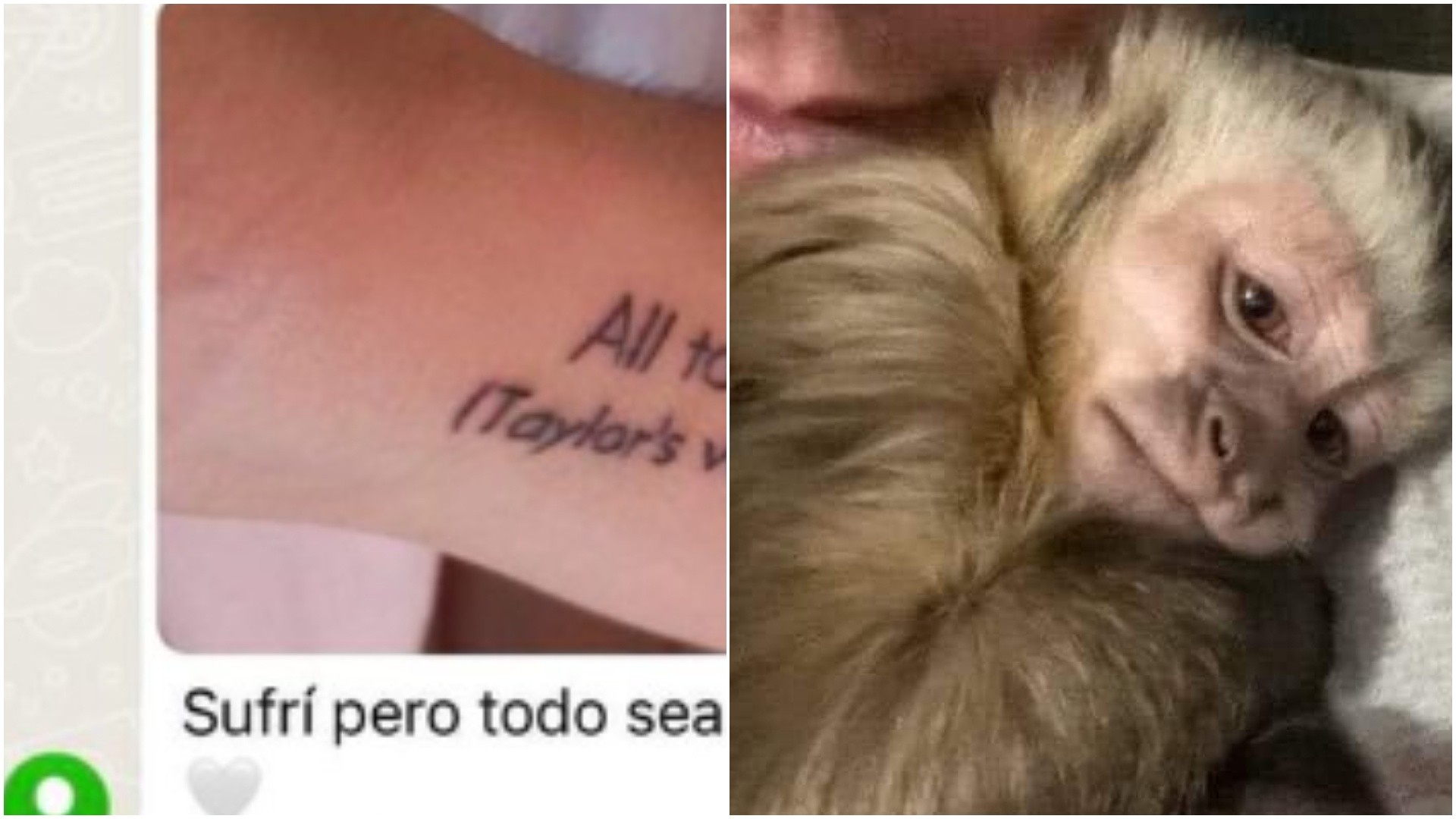 Un pequeño error causó furor entre los internautas que defenestraron un tatuaje.