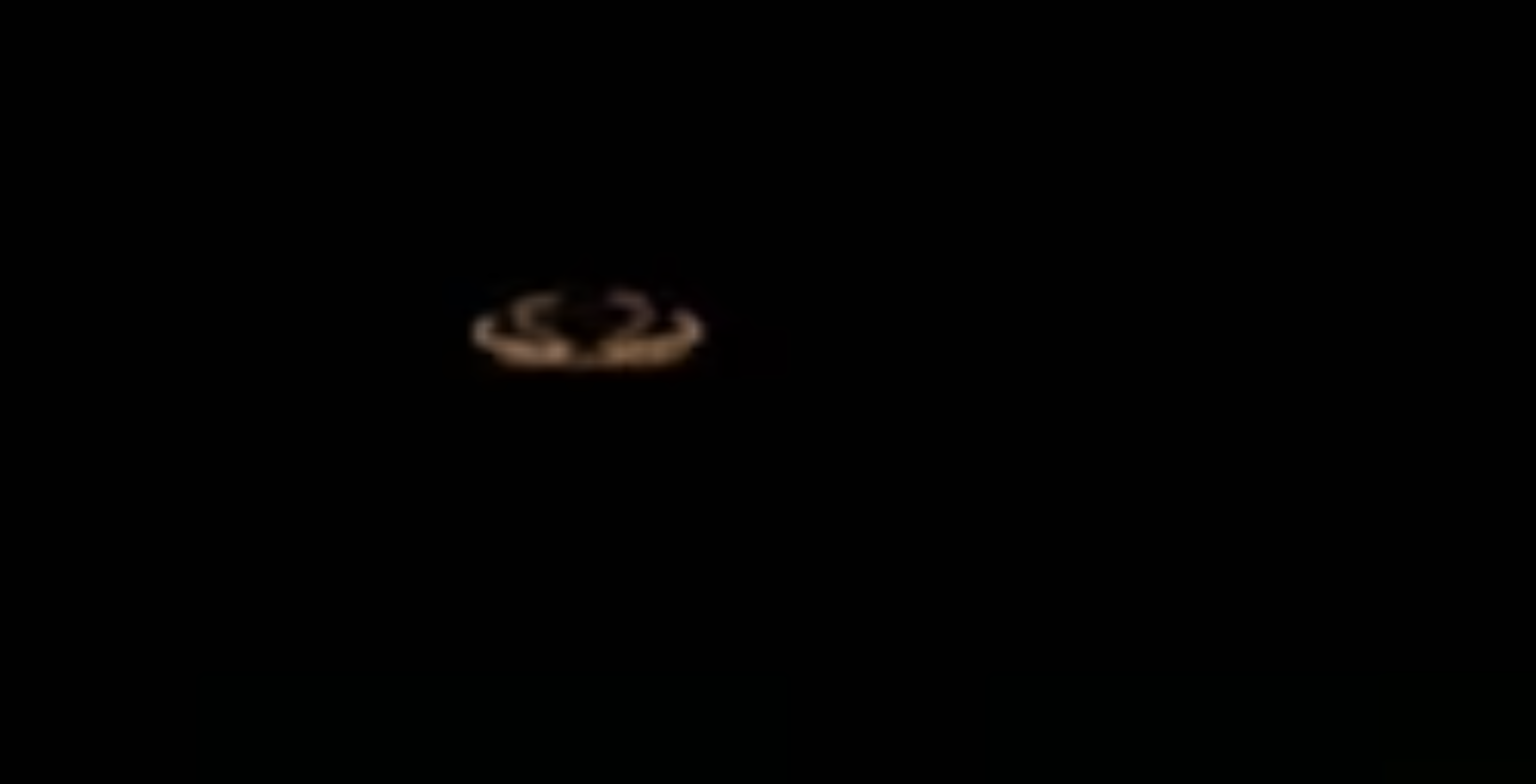 El supuesto OVNI fue visto en el cielo durante la noche.