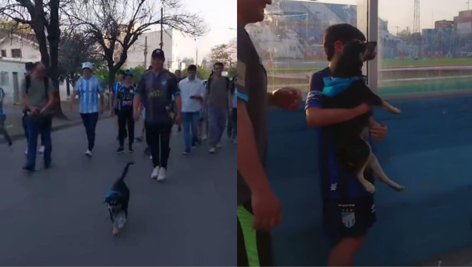 Este particular hincha de   <a href='https://www.cronica.com.ar/tags/Atlético Tucumán'>Atlético Tucumán</a> está presente en cada partido de su equipo y se volvió un amuleto para los fanáticos (  <a href='https://www.cronica.com.ar/tags/TikTok'>TikTok</a>/@dani.coronel1).