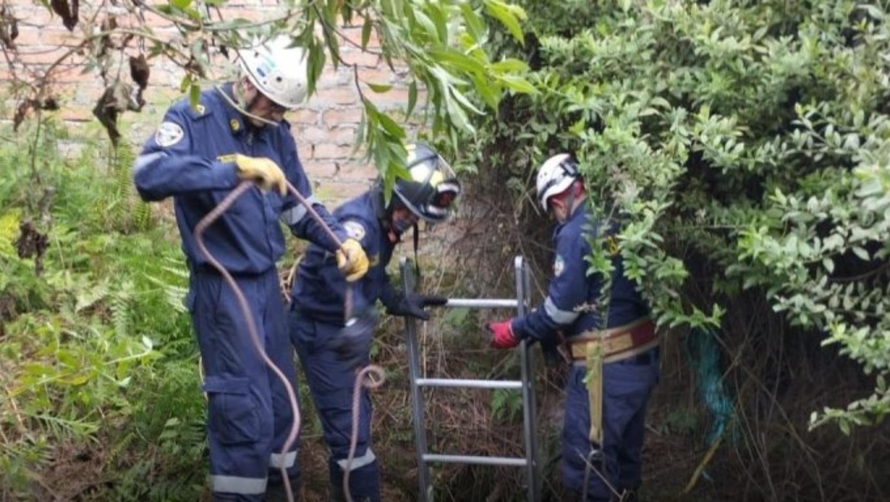 Bomberos desarrollaron una serie de maniobras para extraer los restos.