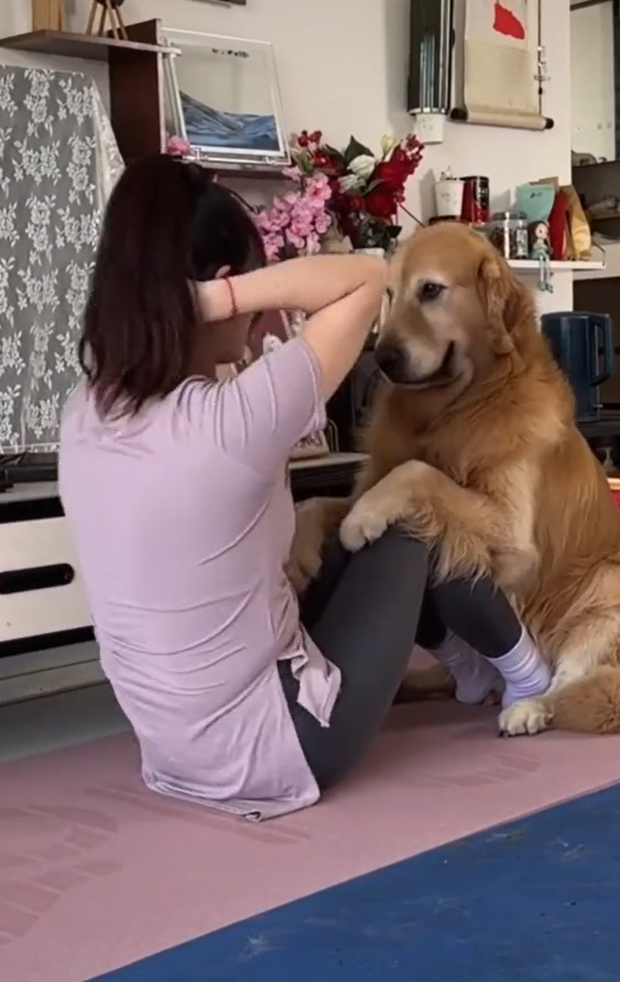 El perro entrena con su dueña.