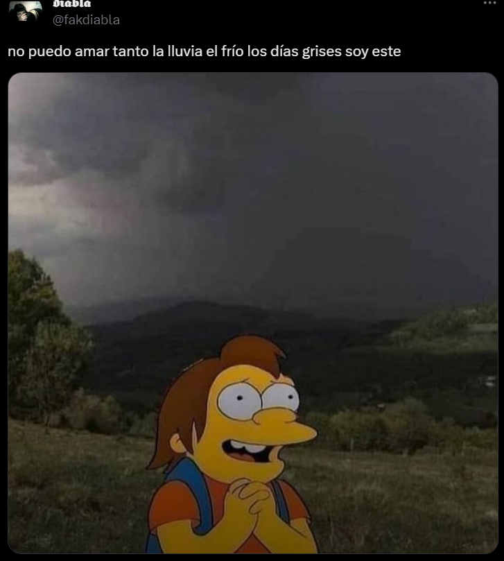 Los mejores memes del día de lluvia.