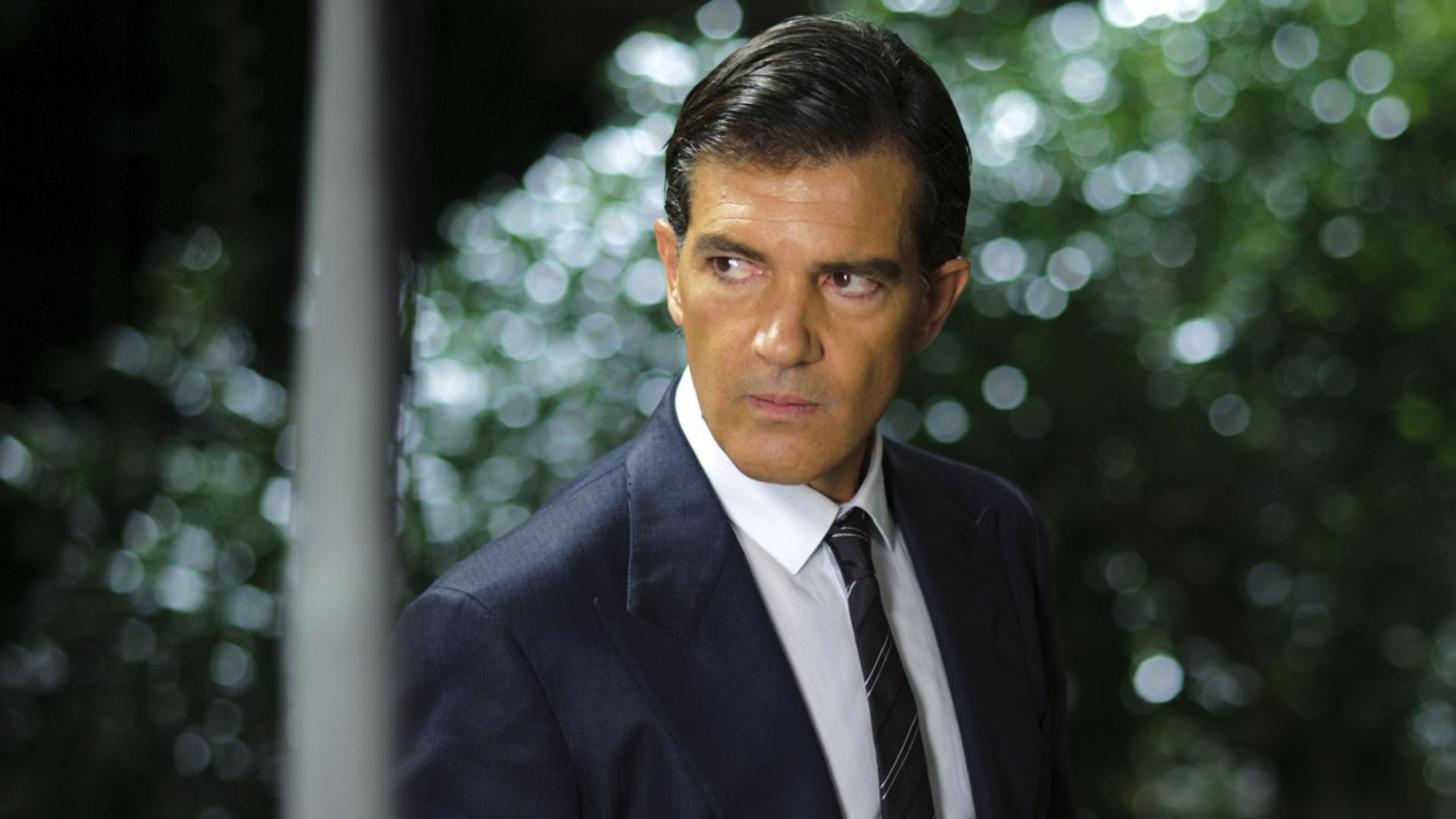 La película dramática protagonizada por Antonio Banderas que tenés que ver.