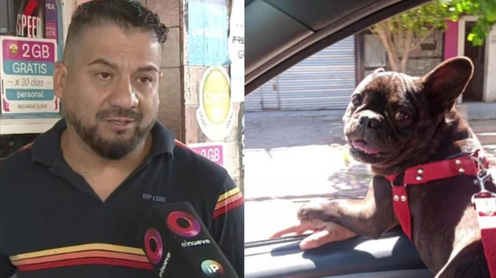 Le robaron la camioneta con su perro adentro, pide que se lo devuelvan.