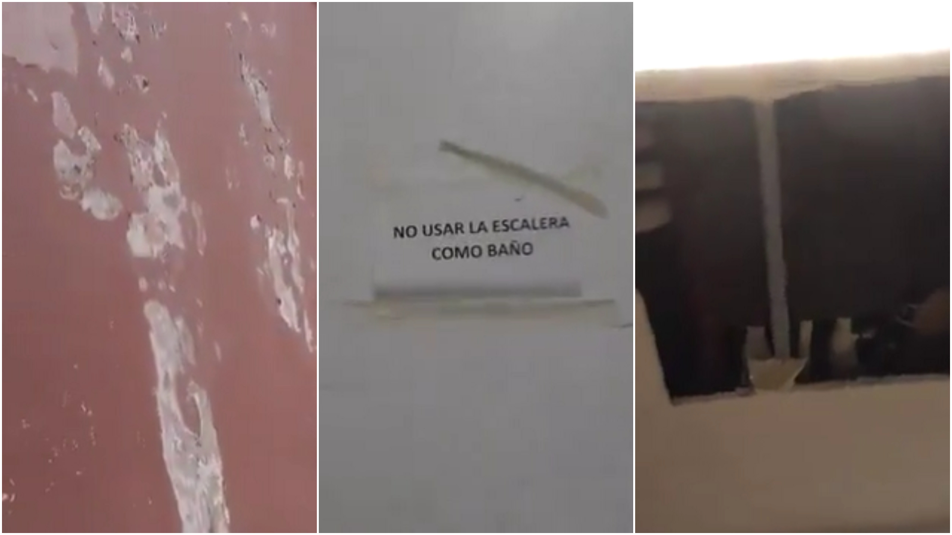 El registro fílmico fue publicado en la cuenta de la Casa Rosada