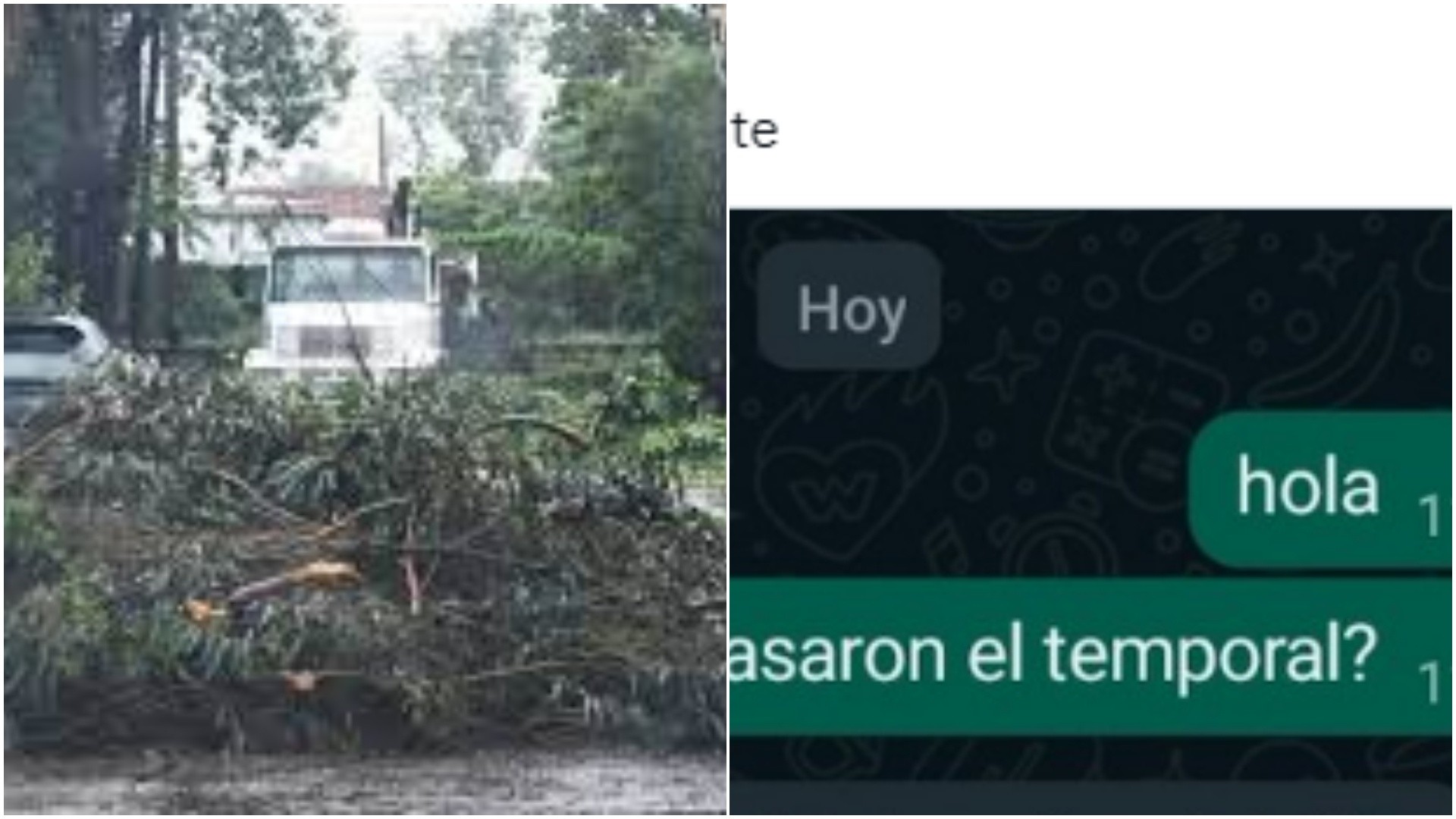 El temporal dejó varias ciudades afectadas.