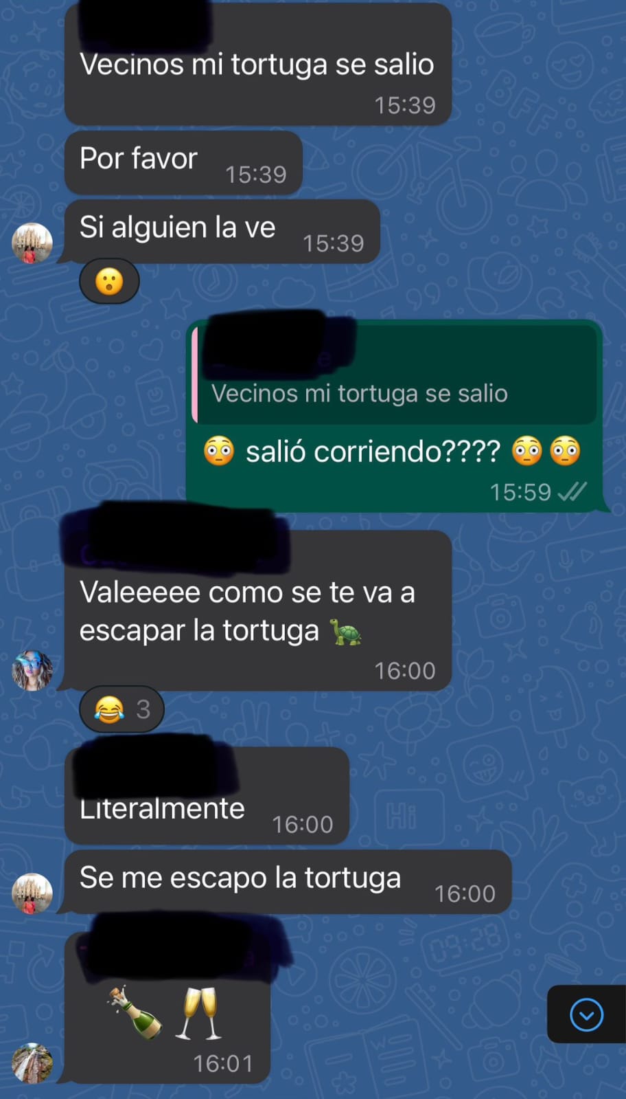 Captura de cuando la mujer tiró que se le perdió la tortuga en el grupo